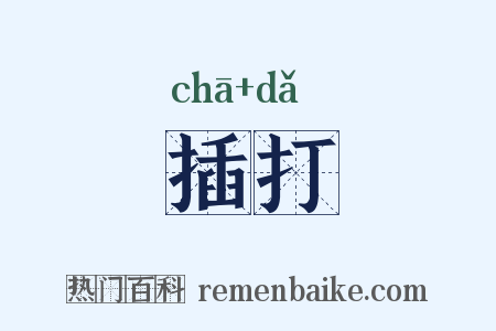 插打是什么意思的图片